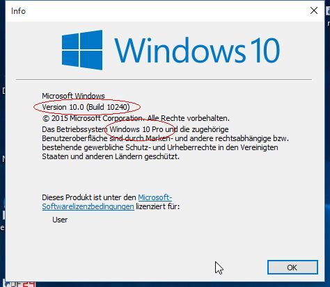 Build_10240.jpg